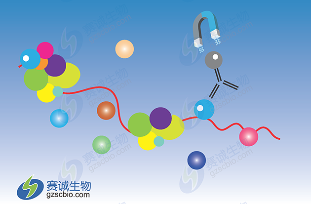 RIP原理示意 RIP原理示意