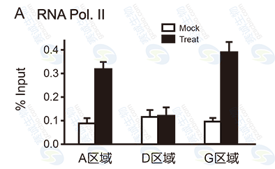 ChIP model figure A ChIP model figure A