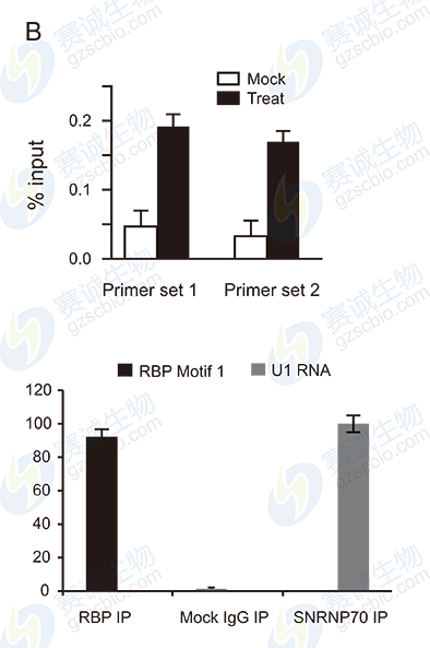 RIP model figure B RIP model figure B