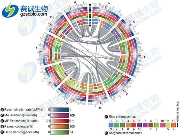 生物信息學(xué)分析基因 生物信息學(xué)分析基因