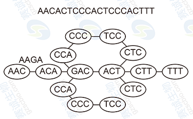 De Bruijn圖示例 De Bruijn圖示例