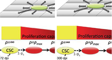 Figure中分辨率的影響 Figure中分辨率的影響