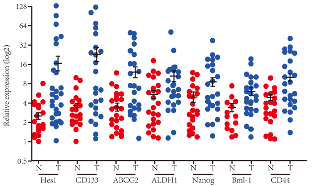 qPCR分析基因表達水平 qPCR分析基因表達水平