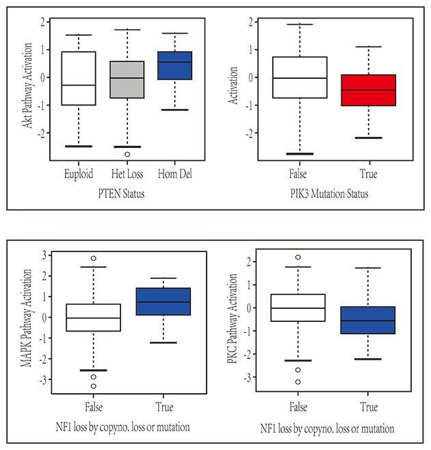 突變率箱圖 突變率箱圖