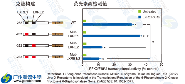 Luciferase定點(diǎn)突變實(shí)驗 .png