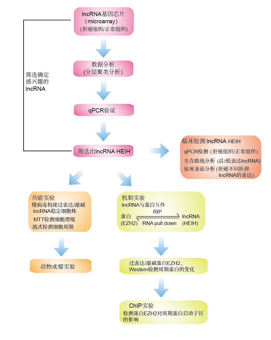 未標題-2.png
