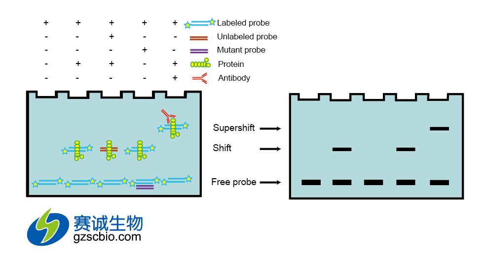 1461125017284025803.png 1461125017284025803.png