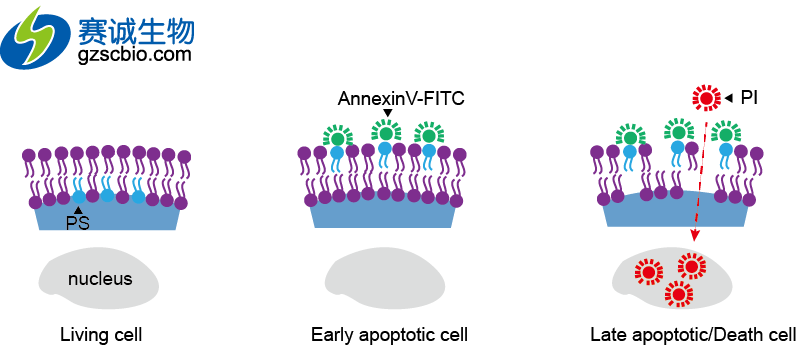 1461134242117076474.png 1461134242117076474.png