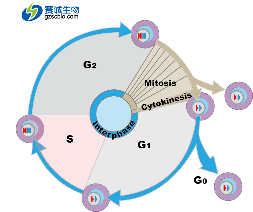 1461134828404065104.png 1461134828404065104.png