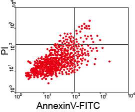 1461135274590055733.png 未標題-5.png