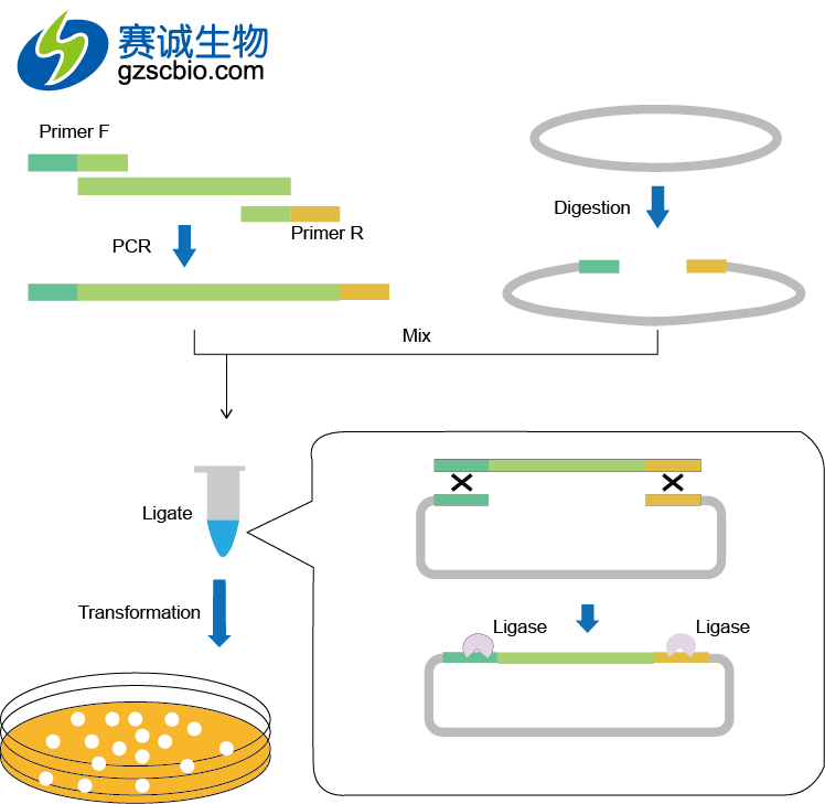 1461217546440002986.png 1461217546440002986.png