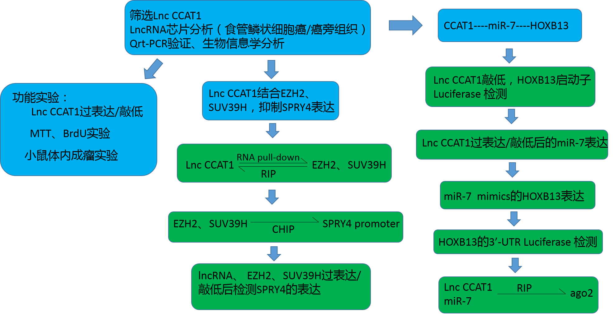 技術(shù)流程.png