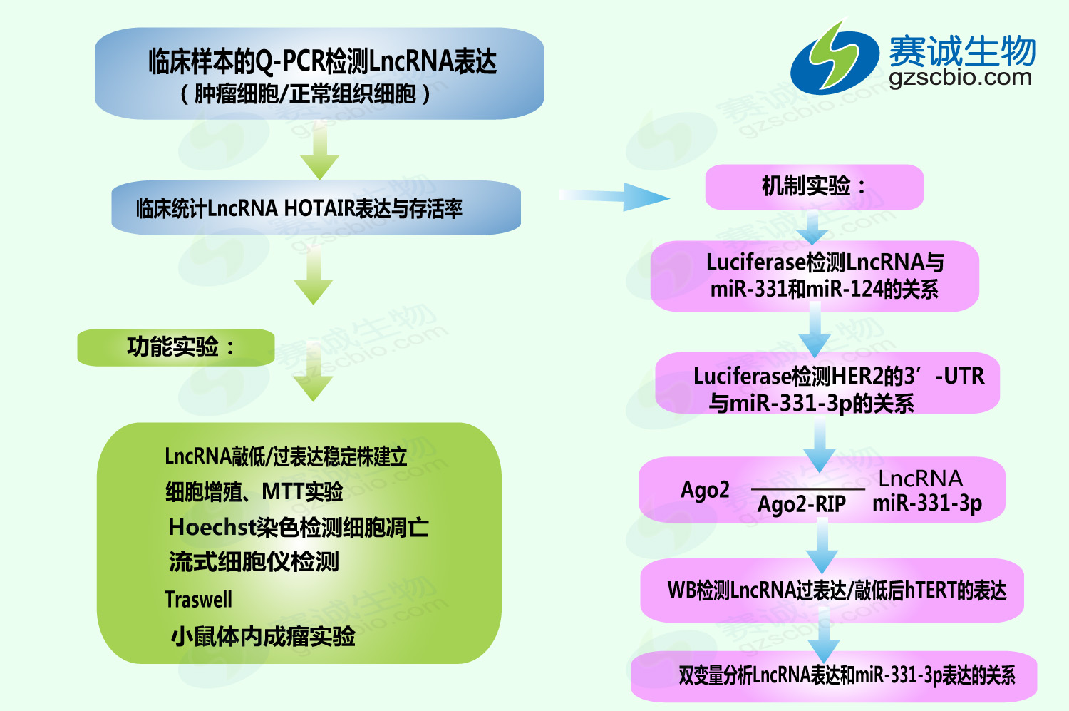 ceRNA機制研究案例（五）.jpg