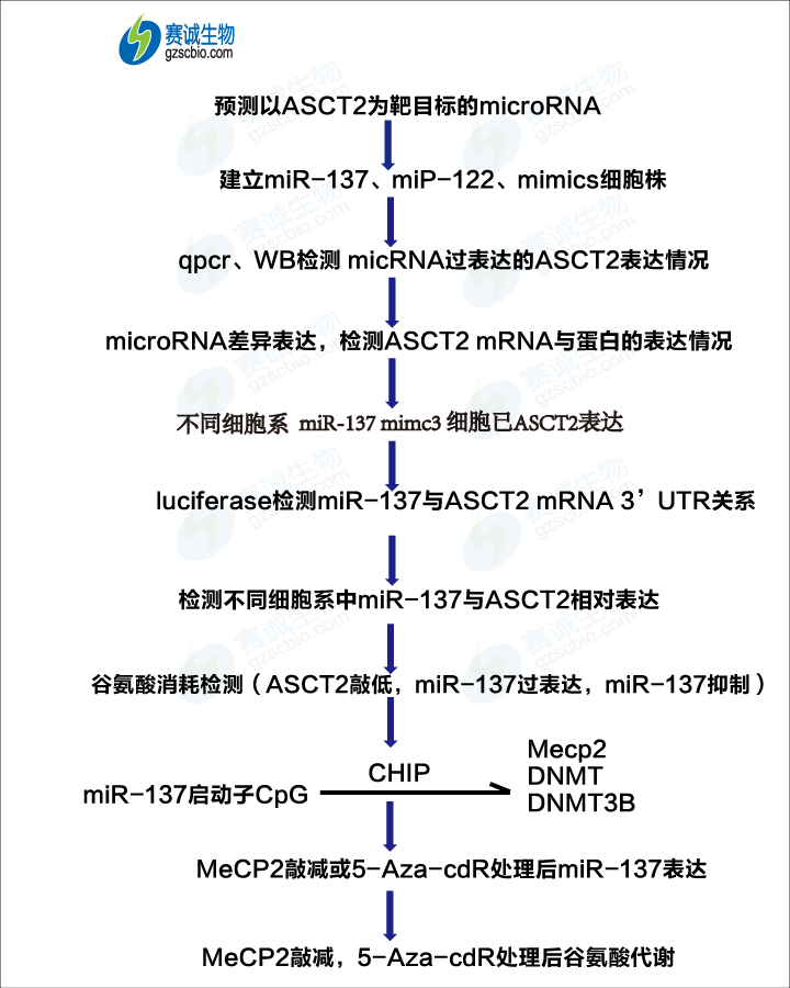 甲基化2 流程圖.png