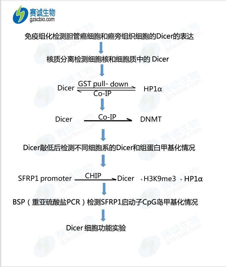甲基化3 流程圖.png