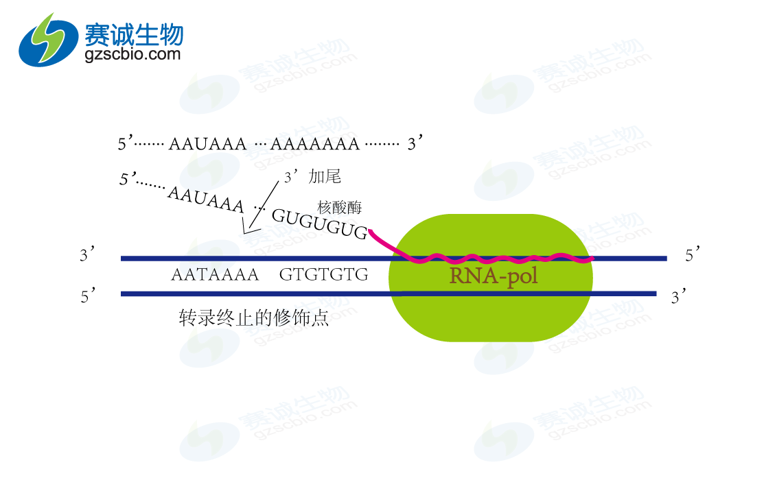 1507953839222069384.png 8.png