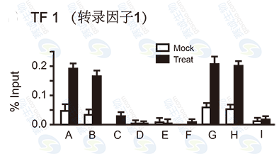 CHIP結果圖（Q-PCR）.png