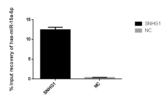 RNA-RNA pull-down q-pcr結果圖.png.jpg