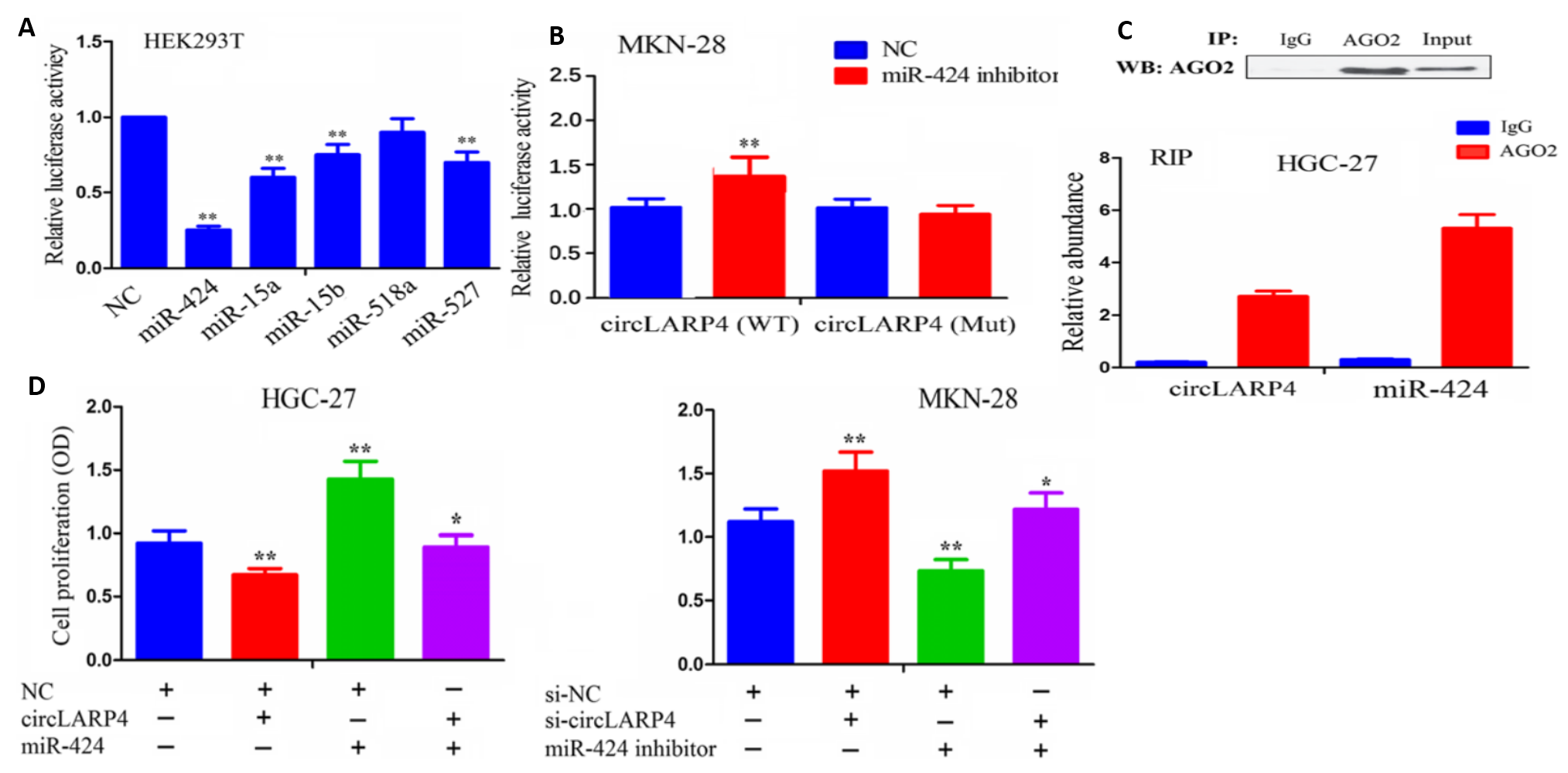 1512456392591056909.png F4.png