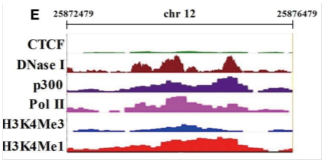 1555395387105006953.png image.png