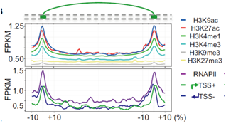 1555395404371024052.png image.png