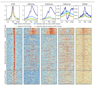 1555395422401059741.png image.png