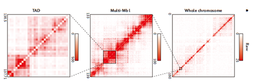 1555395793548012570.png image.png