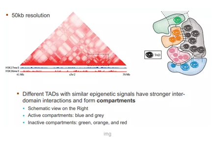 1555395866719047013.png image.png