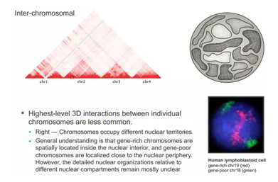 1555395883815001413.png image.png