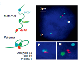 1555396357624040911.png image.png