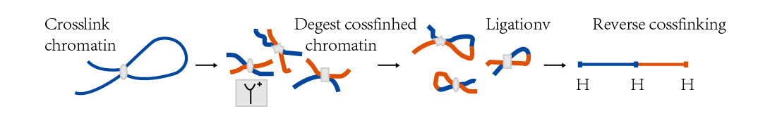 1555396371888074654.jpg 3C技術(shù)流程-01.jpg