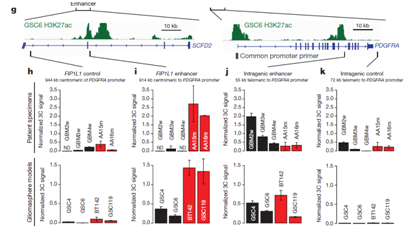 1555396400753003623.png image.png