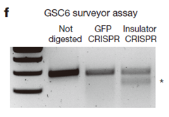 1555396432466014805.png image.png