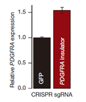 1555396445818091442.png image.png