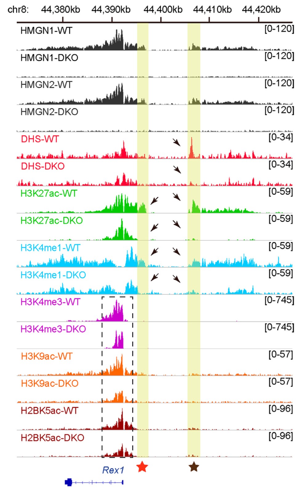 figure 3.jpg